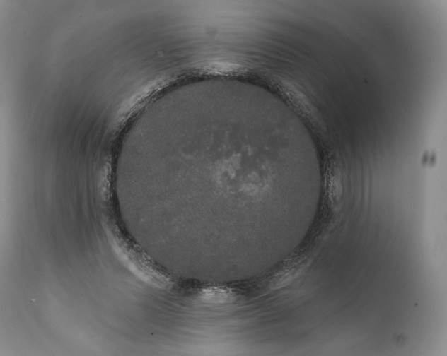 X0000111440591200907271132