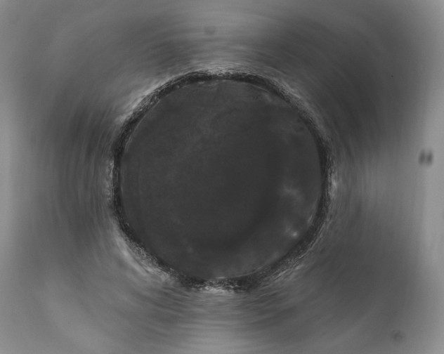 X0000111440592200907271132