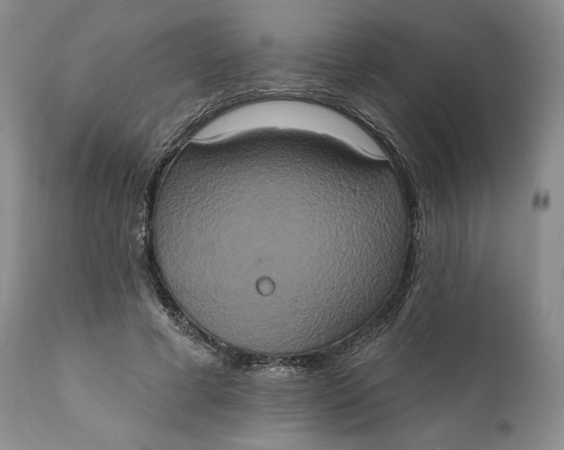 X0000111440593200907271132