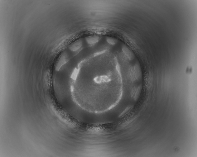 X0000111440594200907271132