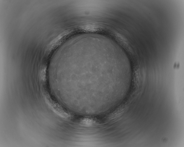 X0000111440596200907271132