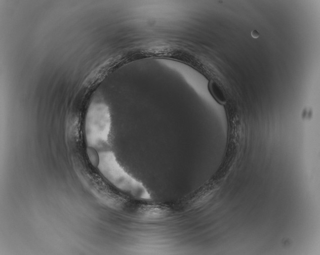 X0000111440597200907271132