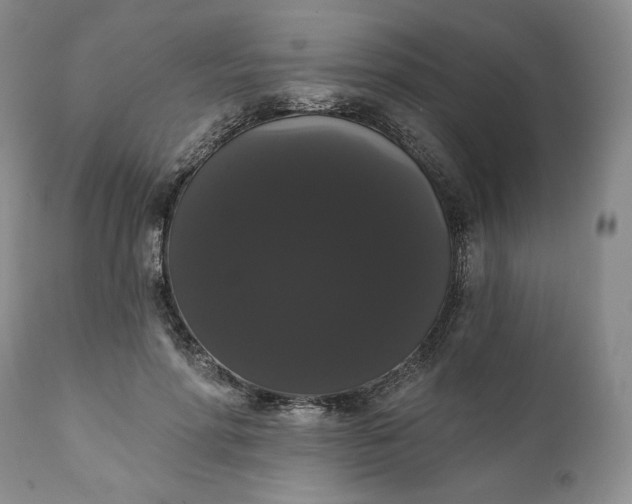 X0000111440598200907271132