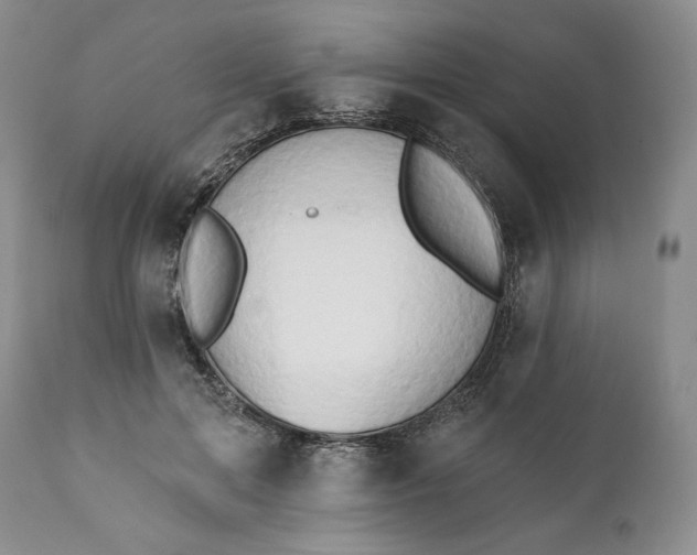 X0000111440599200907271132