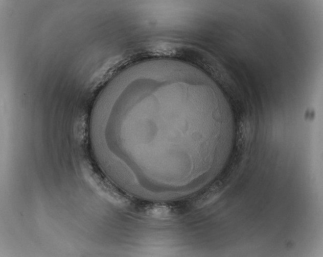 X0000111440600200907271132