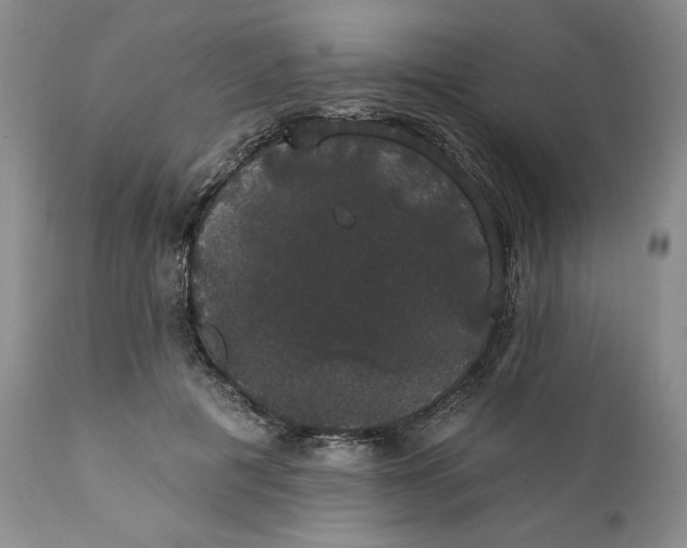 X0000111440601200907271132