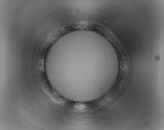 X0000111440602200907271132