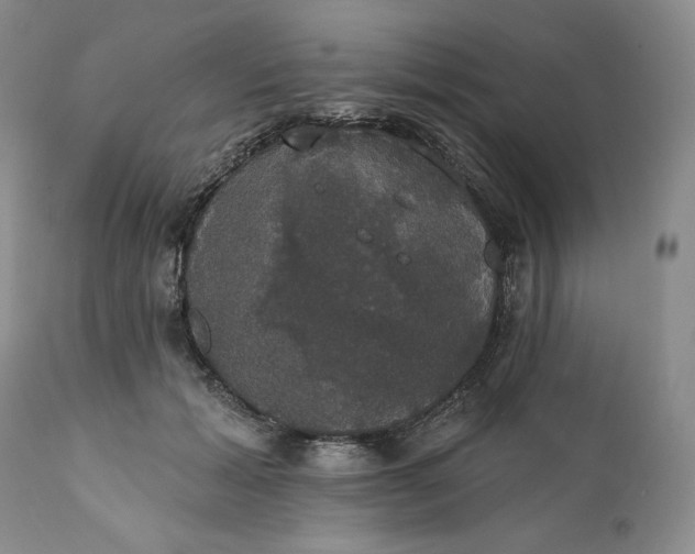 X0000111440605200907271131