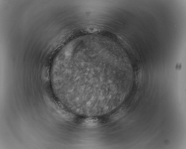 X0000111440606200907271131