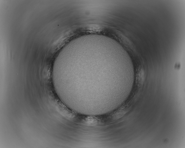 X0000111440608200907271131