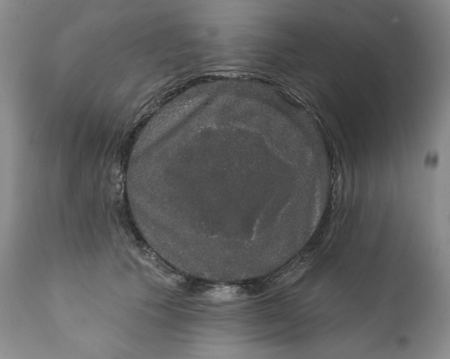 X0000111440609200907271131