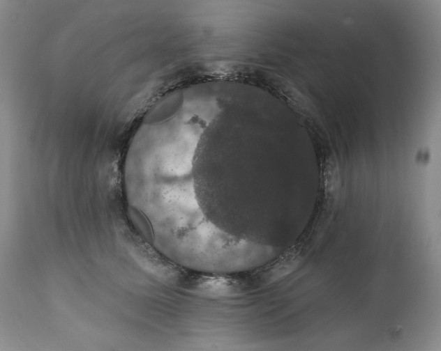 X0000111440611200907271131