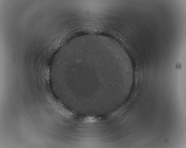 X0000111440613200907271131