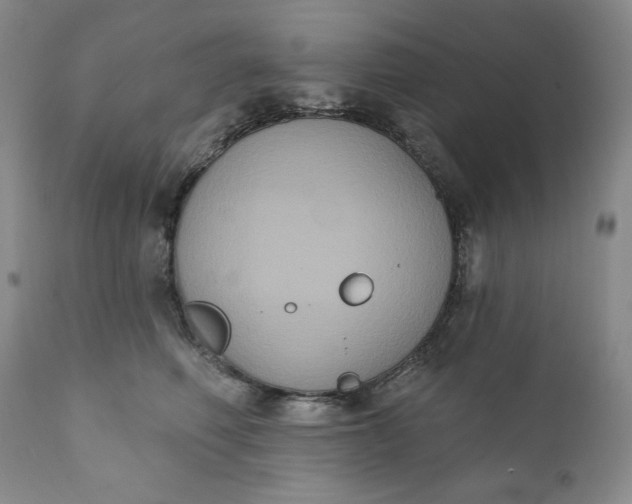 X0000111440614200907271131