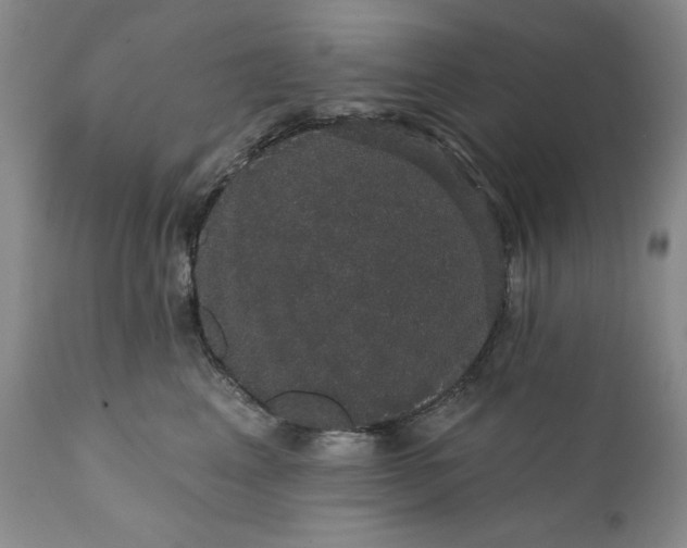 X0000111440617200907271131