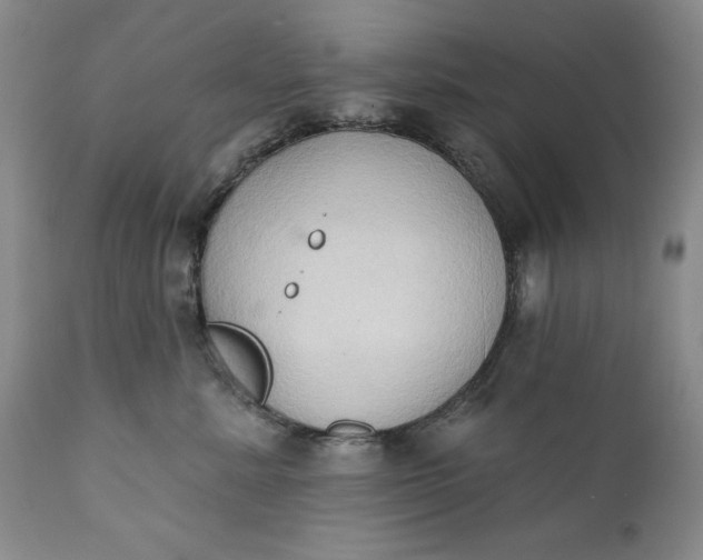 X0000111440619200907271131