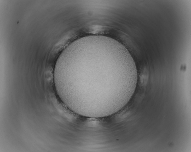 X0000111440620200907271131