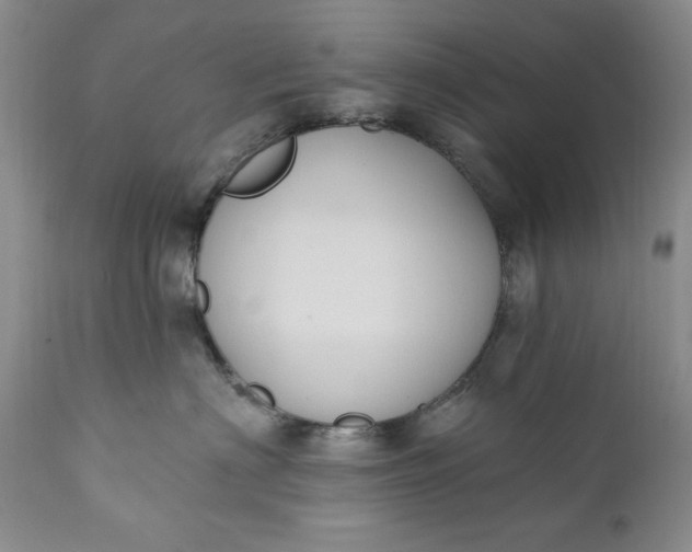 X0000111440622200907271131