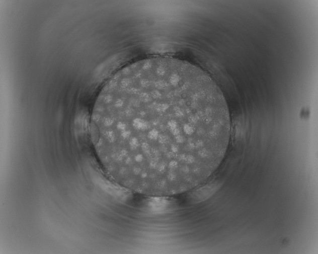 X0000111440623200907271131