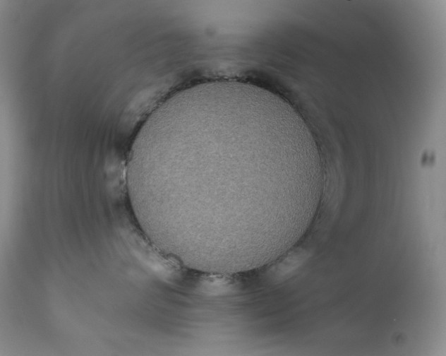 X0000111440624200907271131