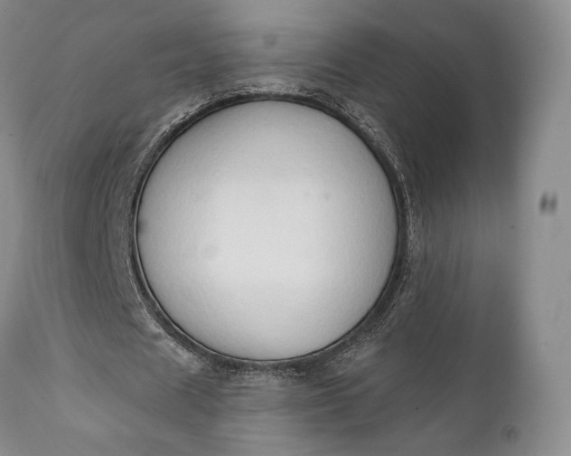 X0000111440625200907271130