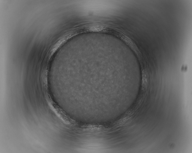 X0000111440626200907271130