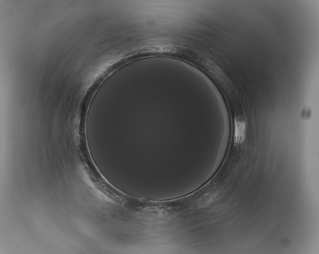 X0000111440627200907271130