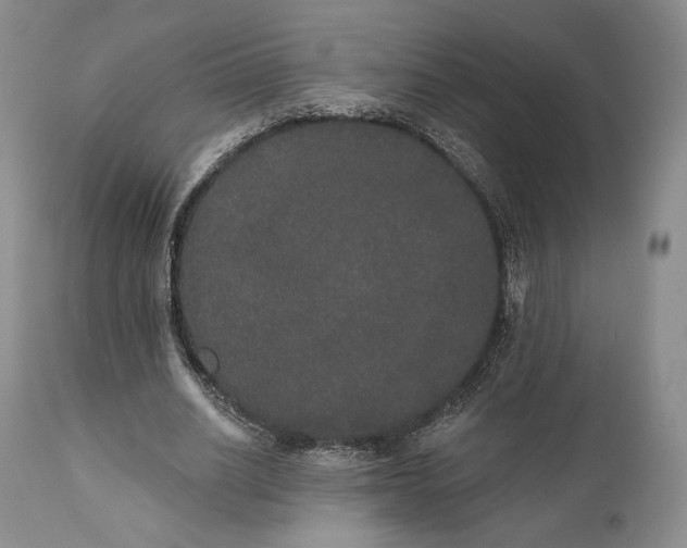 X0000111440630200907271130