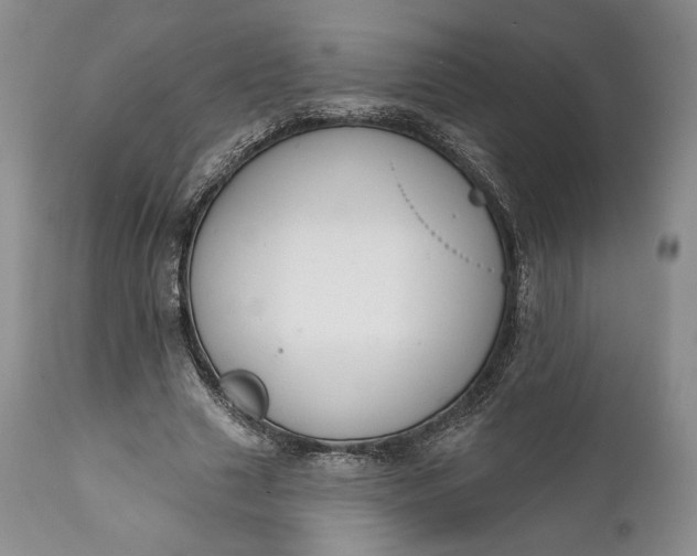 X0000111440633200907271130