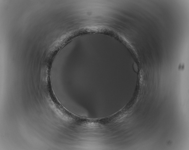 X0000111440637200907271131