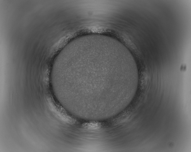 X0000111440639200907271131