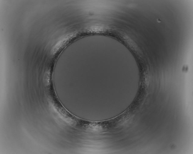 X0000111440640200907271131