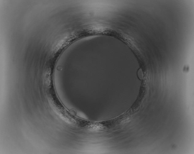 X0000111440642200907271131