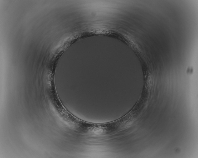 X0000111440643200907271131