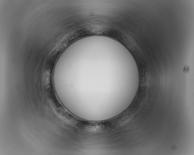 X0000111440646200907271131