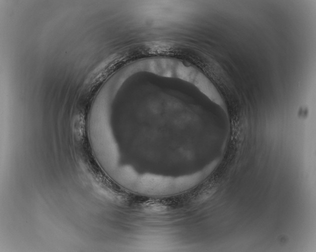 X0000111440648200907271131