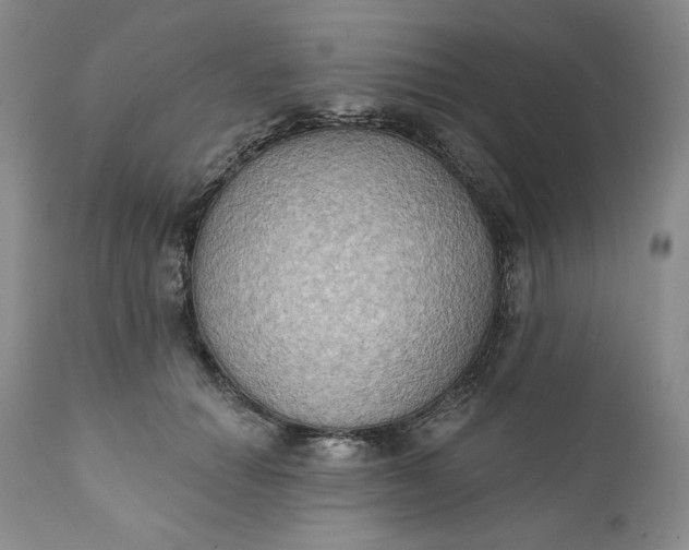 X0000111440654200907271131