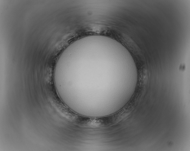 X0000111440656200907271131