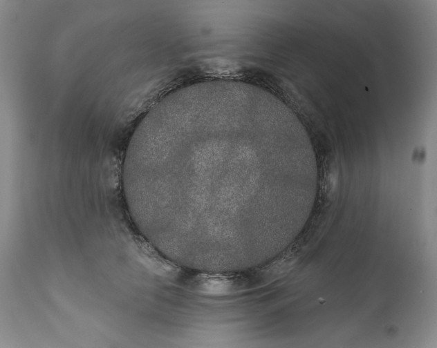 X0000111440658200907271131