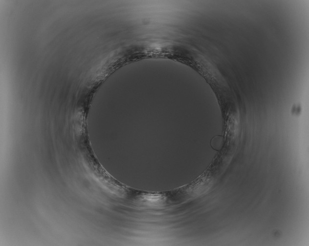 X0000111440659200907271131