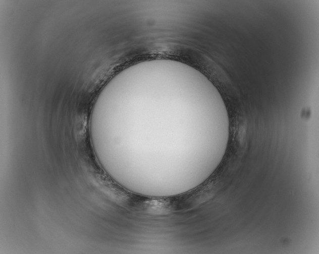 X0000111440660200907271131