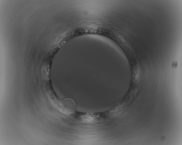 X0000111440661200907271131