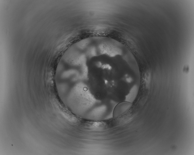 X0000111440663200907271131