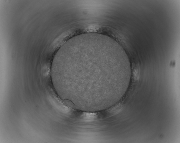 X0000111440665200907271131