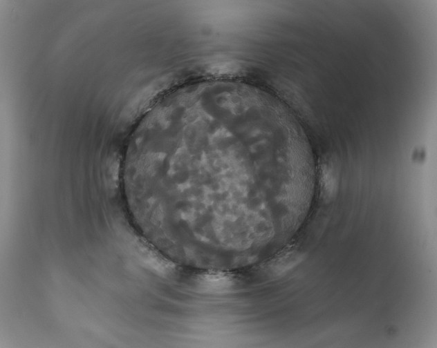 X0000111440668200907271131