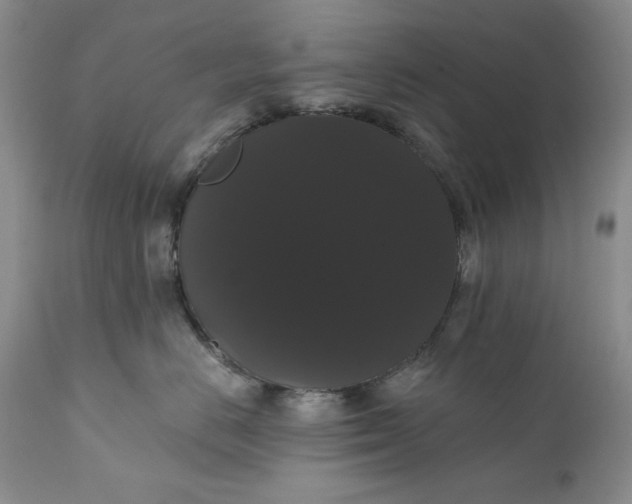 X0000111440670200907271131