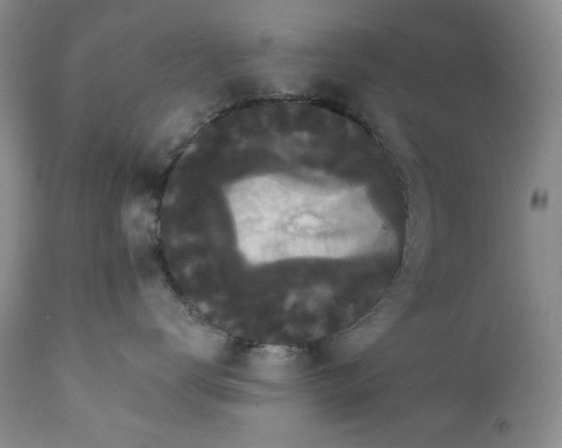 X0000111440672200907271131