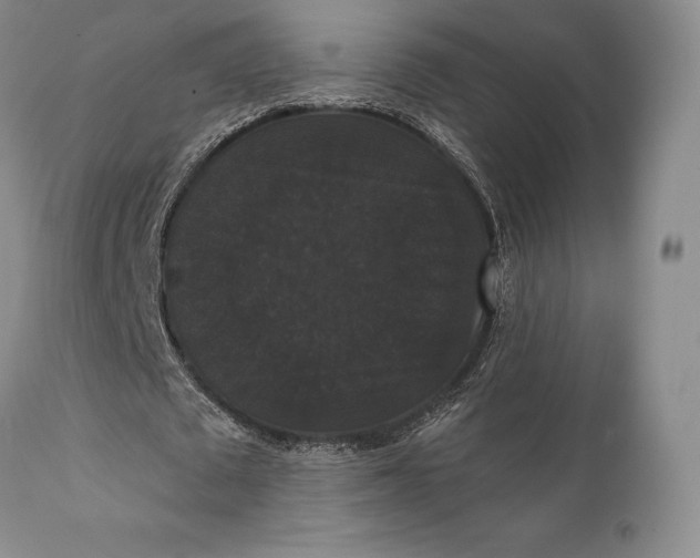 X0000111440673200907271130