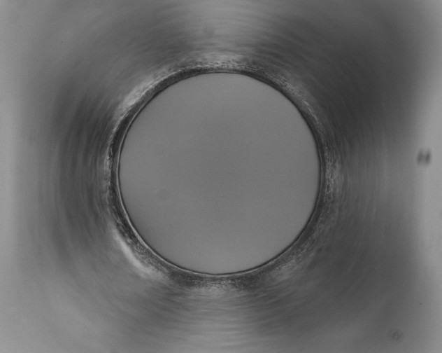 X0000111440674200907271130