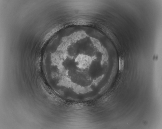 X0000111440675200907271130